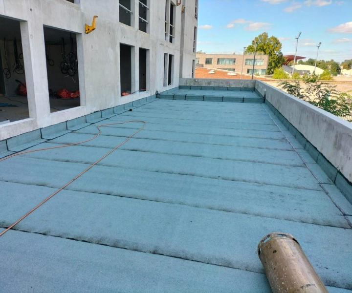 Toiture végétalisée Poissy