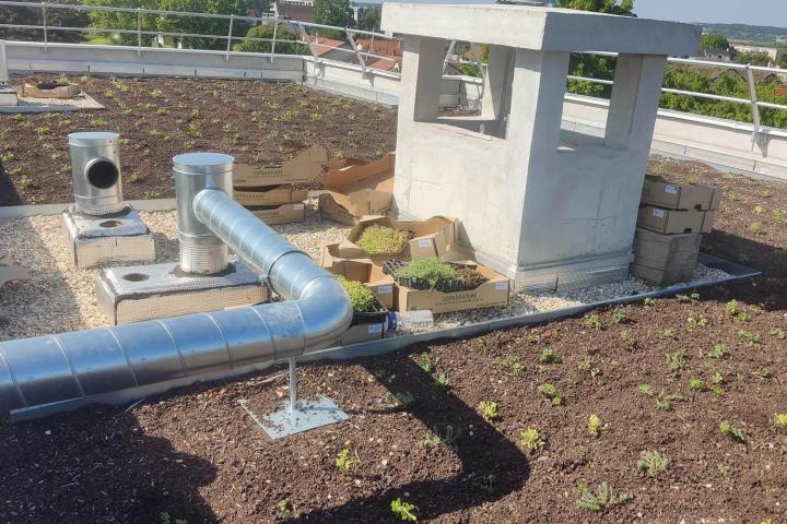 Toiture végétalisée Poissy